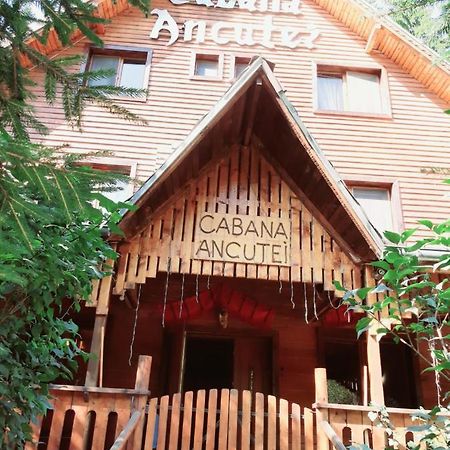 Cabana Ancutei Rucăr Εξωτερικό φωτογραφία