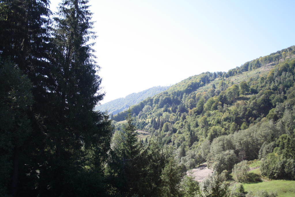 Cabana Ancutei Rucăr Εξωτερικό φωτογραφία