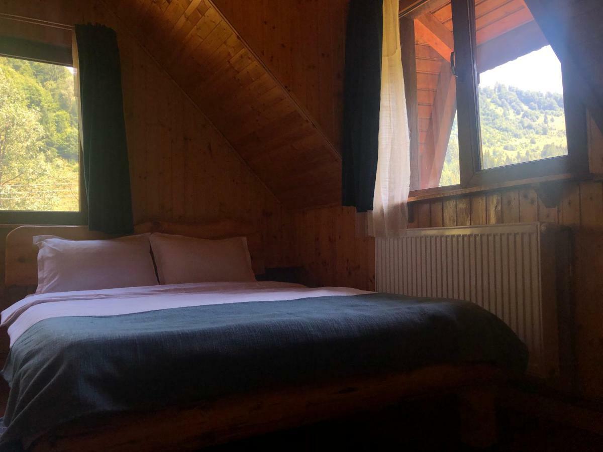 Cabana Ancutei Rucăr Εξωτερικό φωτογραφία